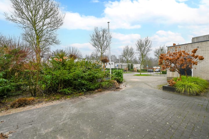 Foto 51 van Krachtenveld 2