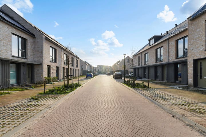 Foto 2 van Bunzing 10