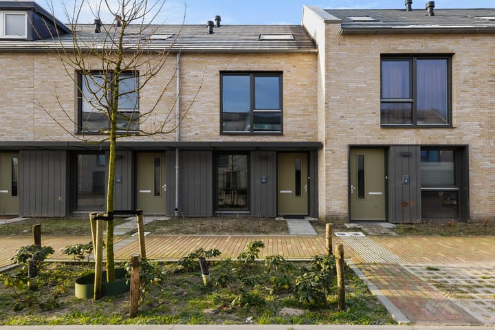 Foto 3 van Bunzing 10