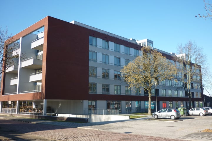 Gagelboschplein 517