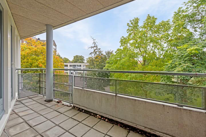 Foto 6 van Professor Pieter Willemsstraat 14-C