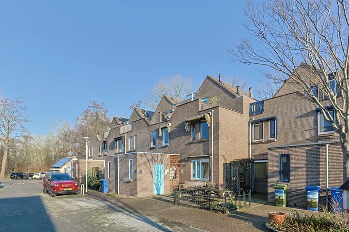 Foto 2 van Koraalzwam 81