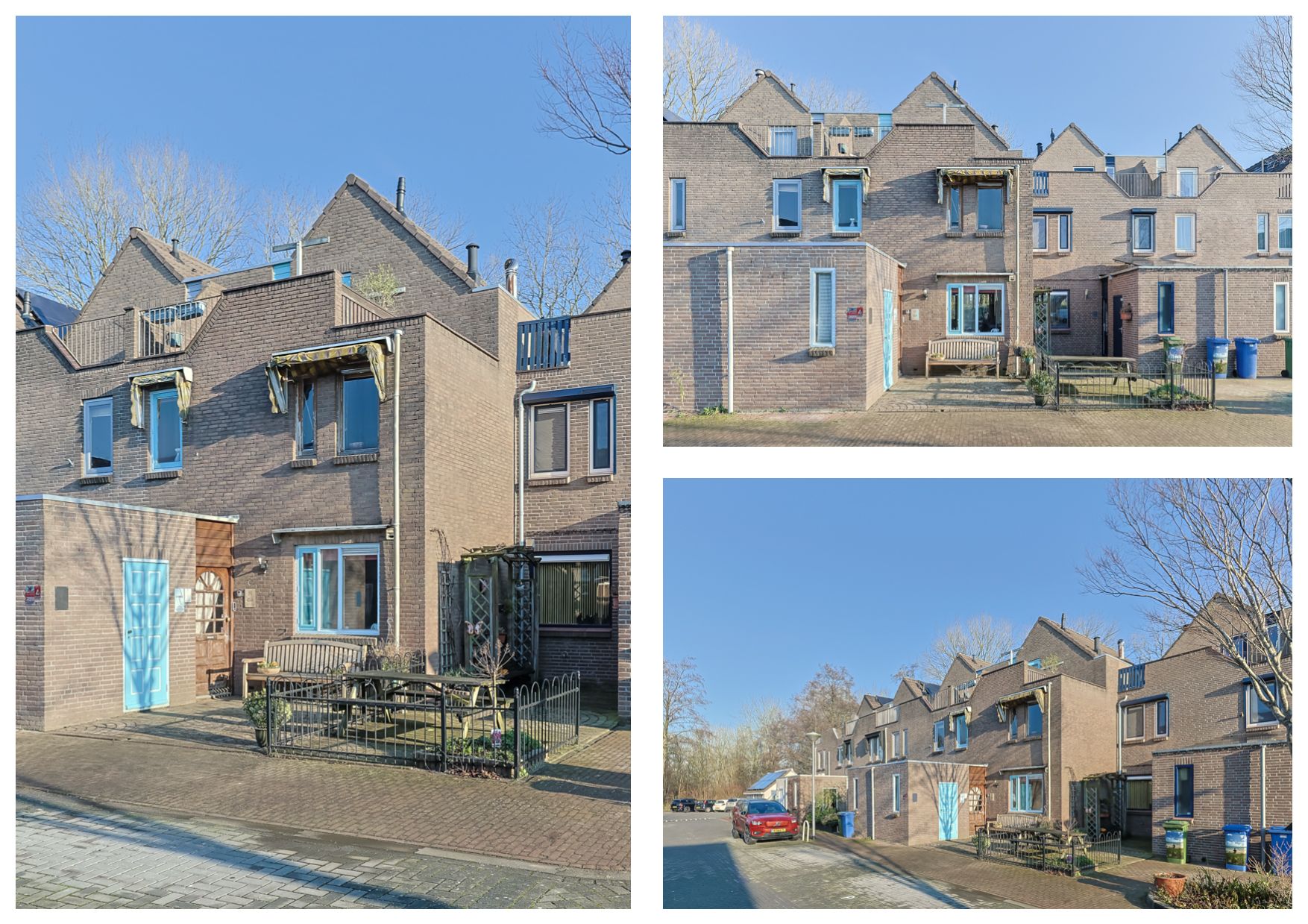 Foto 3 van Koraalzwam 81