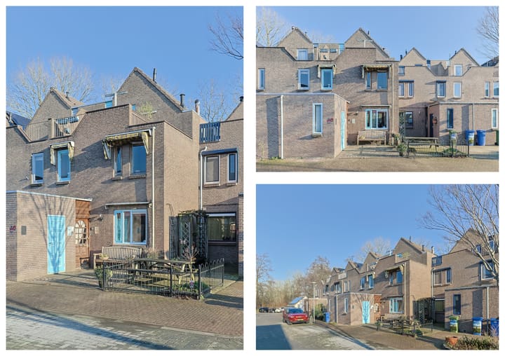 Foto 3 van Koraalzwam 81