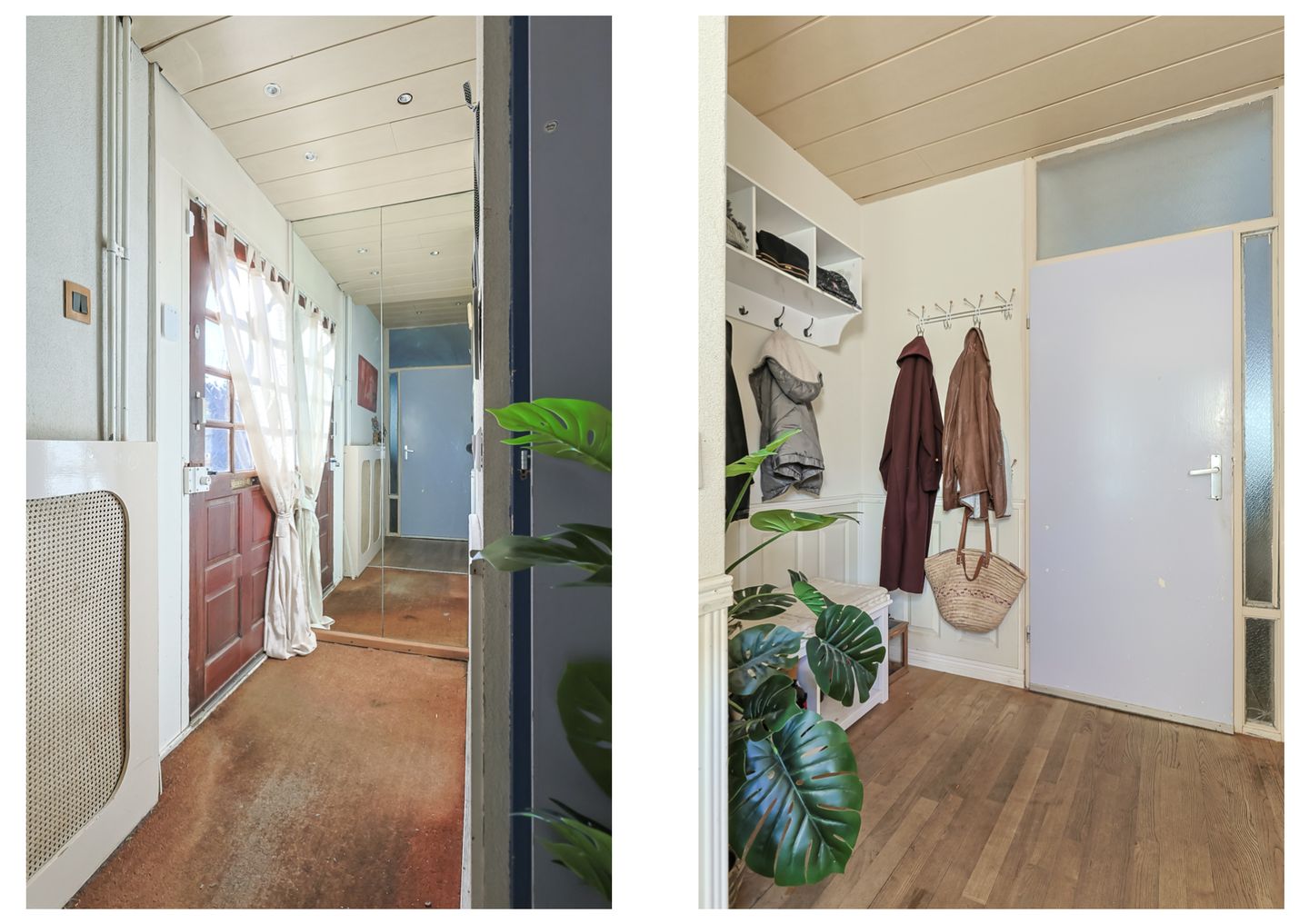 Foto 4 van Koraalzwam 81