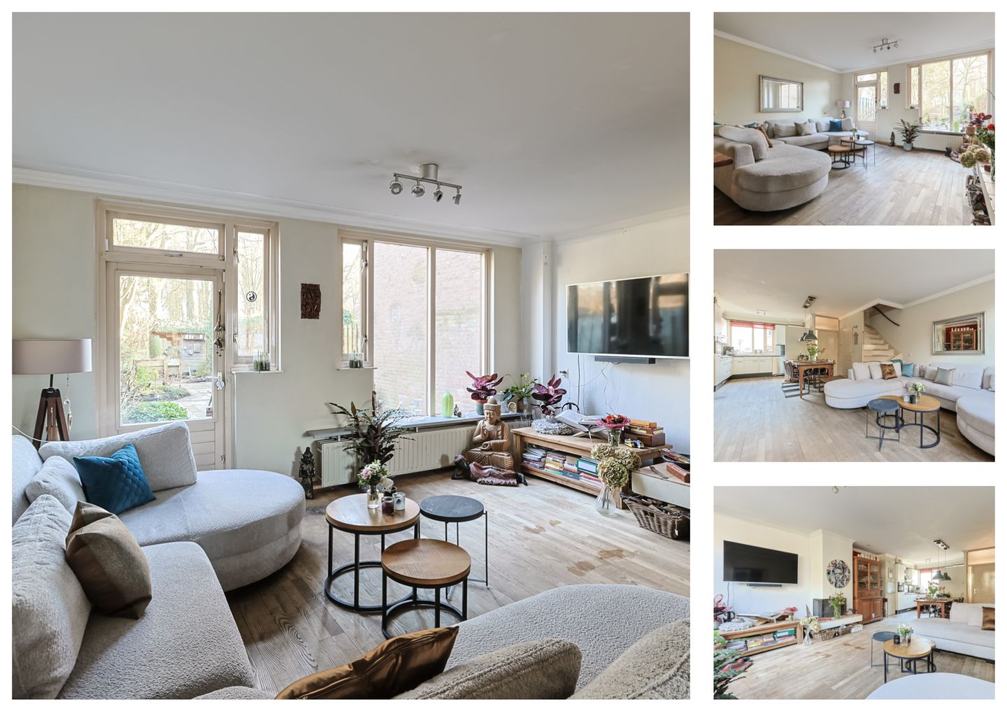 Foto 10 van Koraalzwam 81