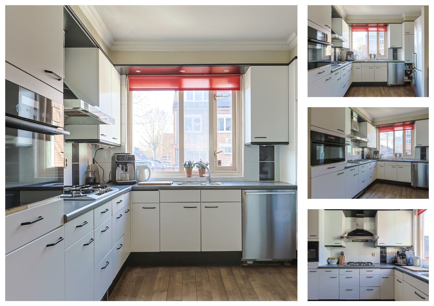 Foto 15 van Koraalzwam 81