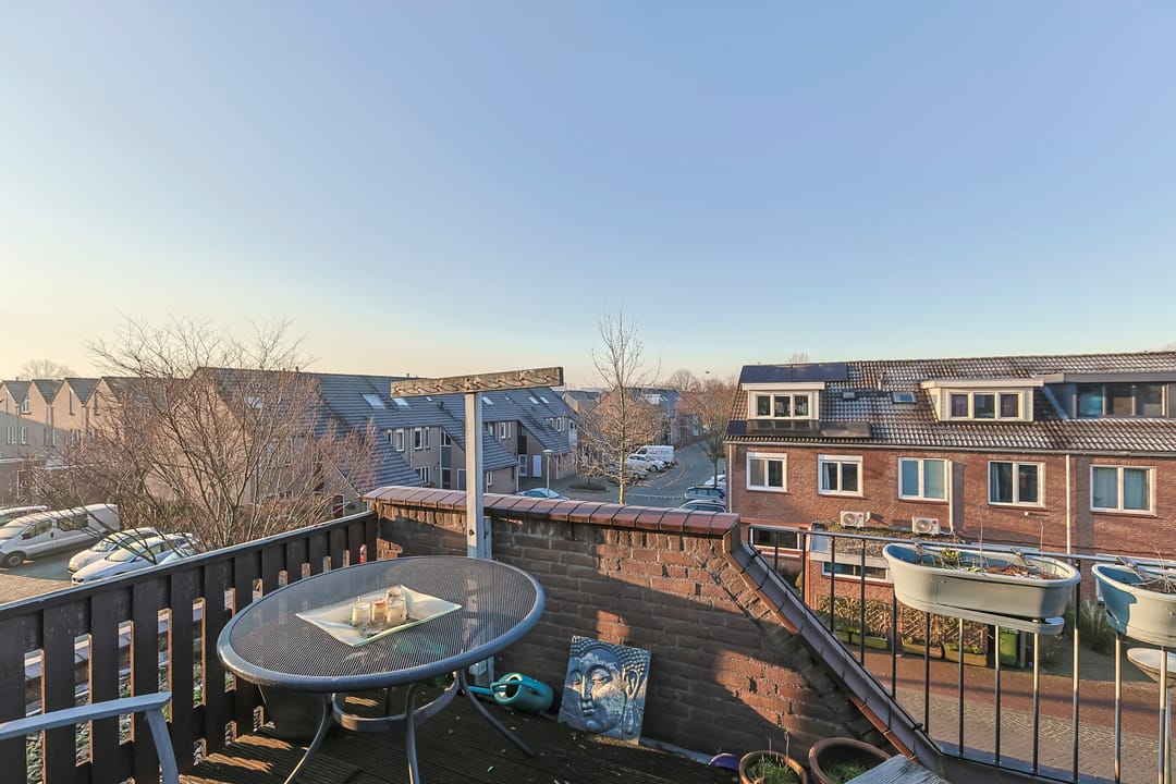 Foto 41 van Koraalzwam 81