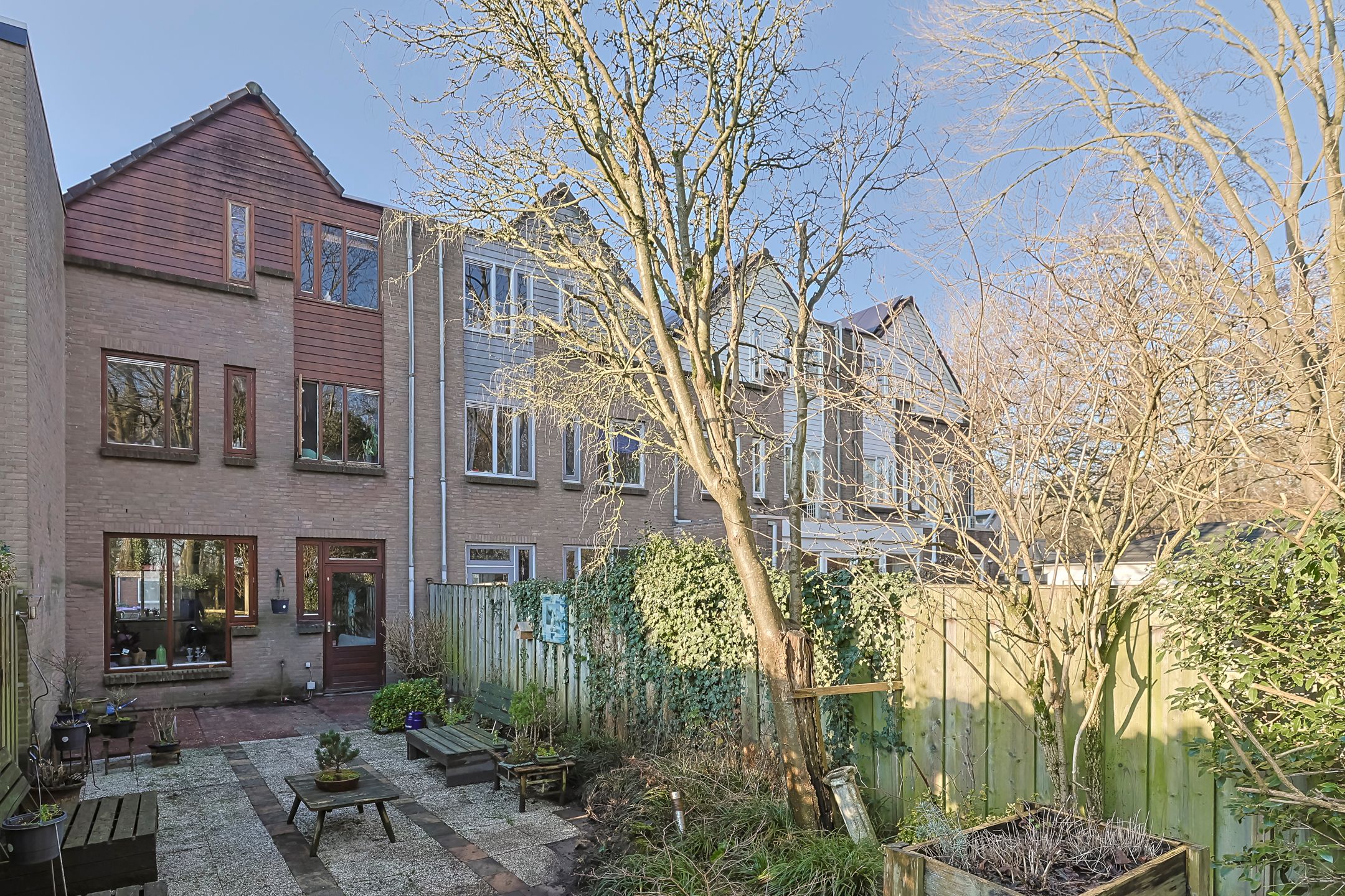 Foto 42 van Koraalzwam 81