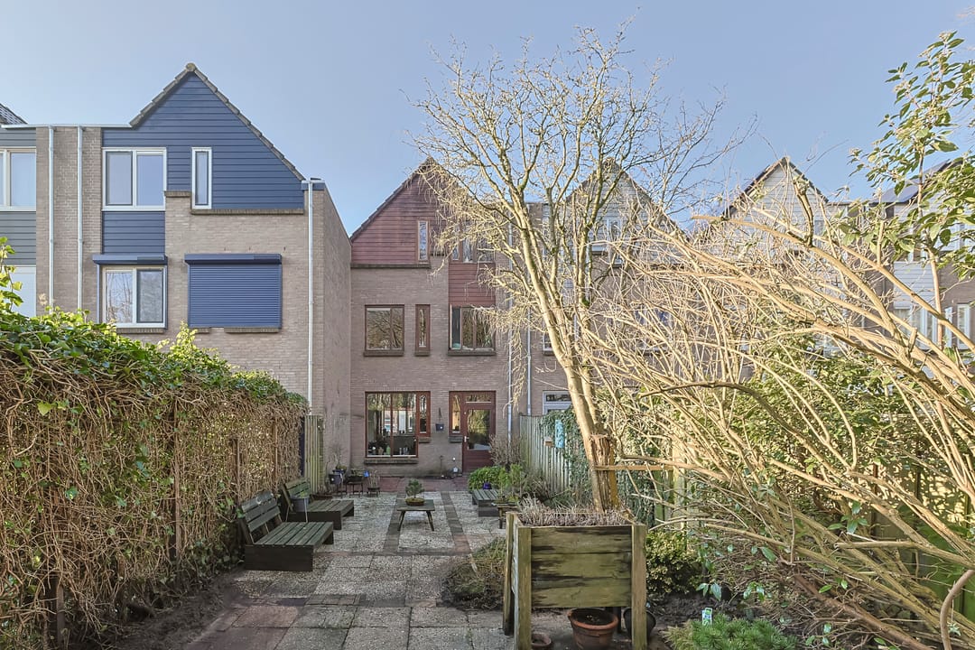 Foto 43 van Koraalzwam 81