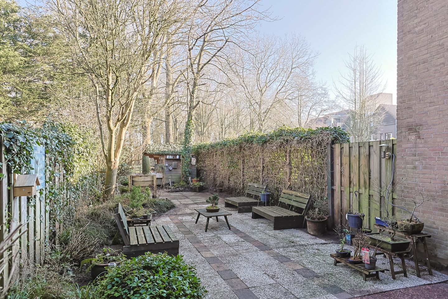 Foto 44 van Koraalzwam 81