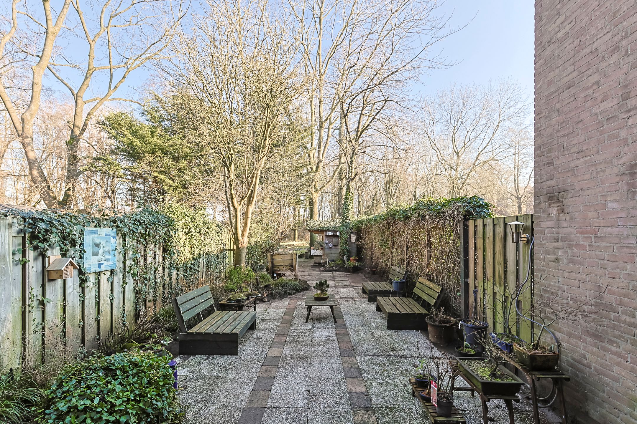 Foto 45 van Koraalzwam 81