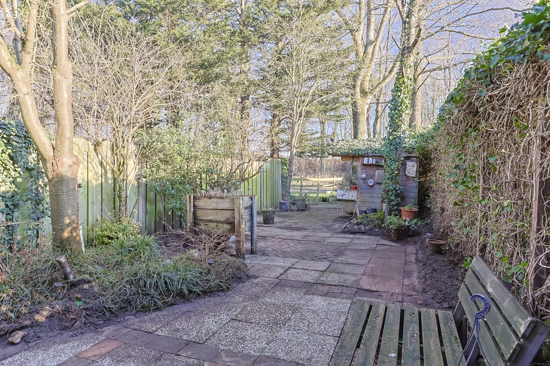 Foto 46 van Koraalzwam 81