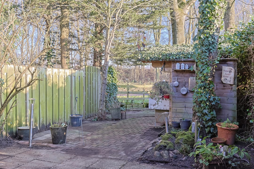 Foto 47 van Koraalzwam 81