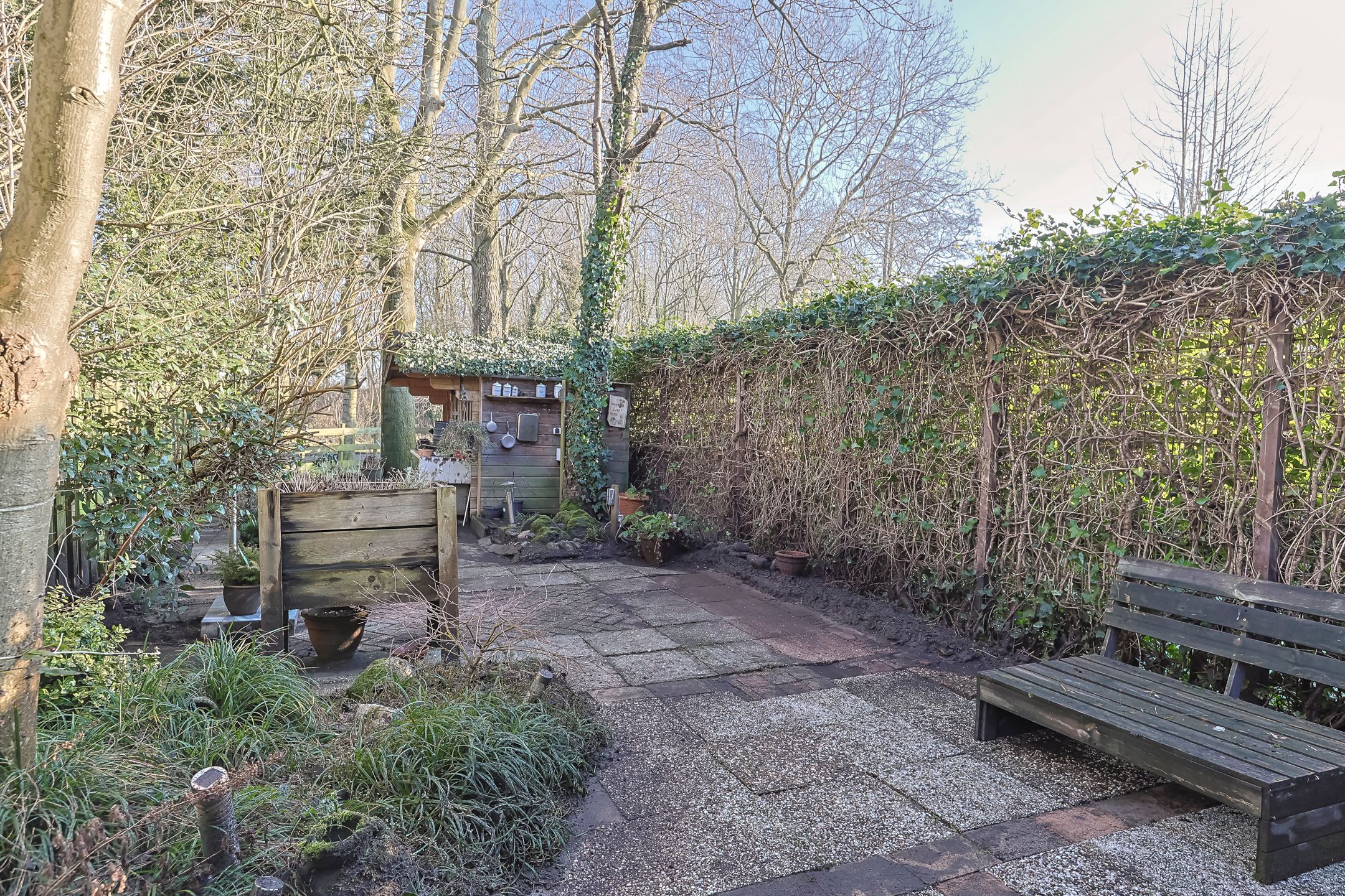 Foto 48 van Koraalzwam 81