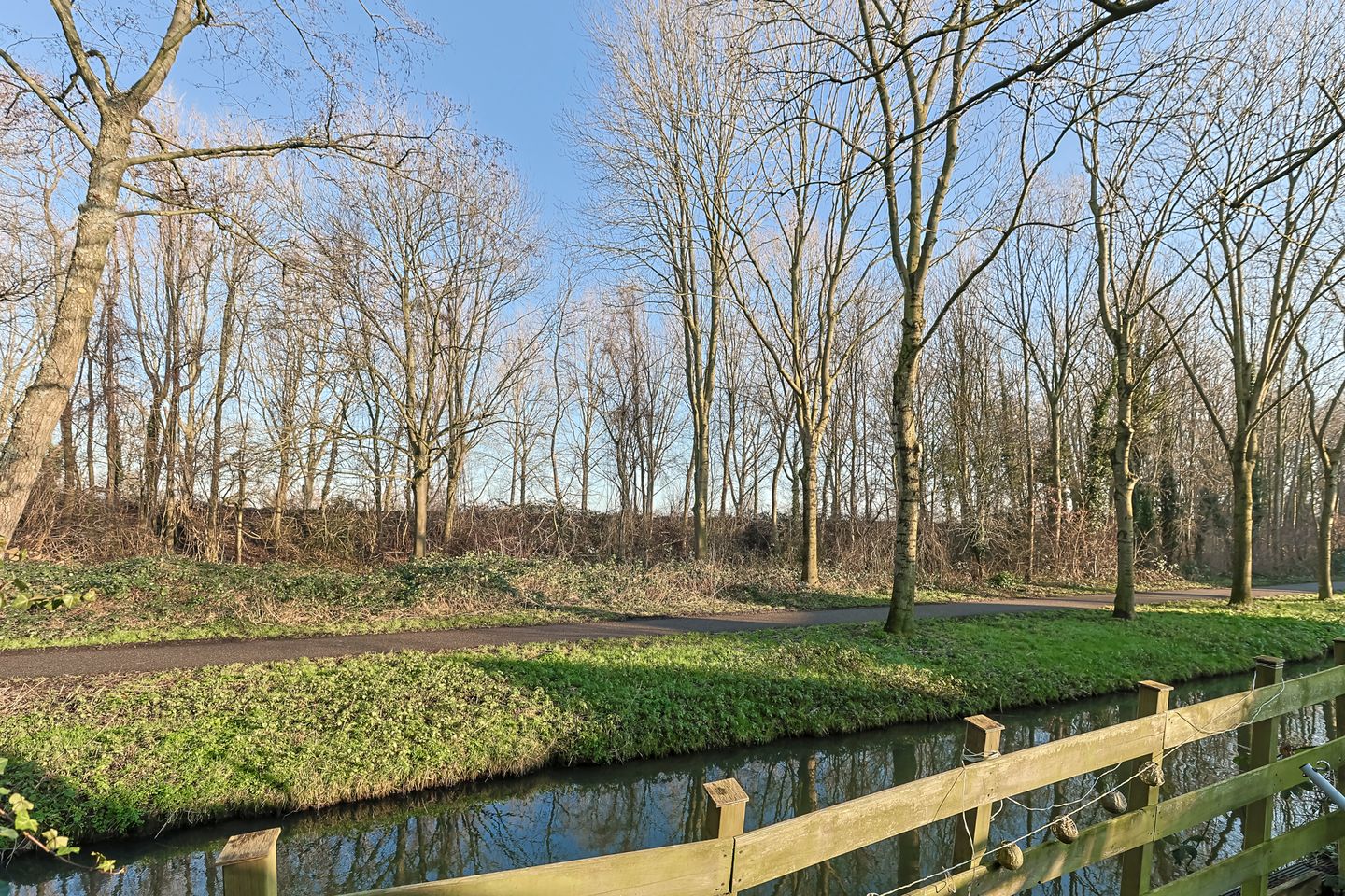 Foto 49 van Koraalzwam 81