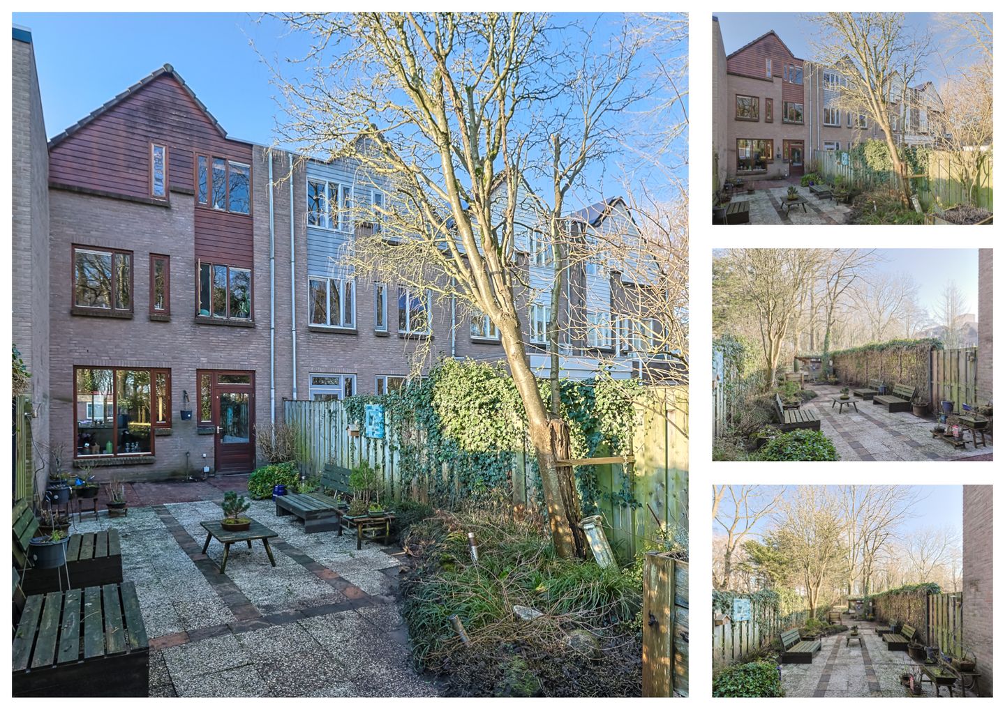 Foto 50 van Koraalzwam 81