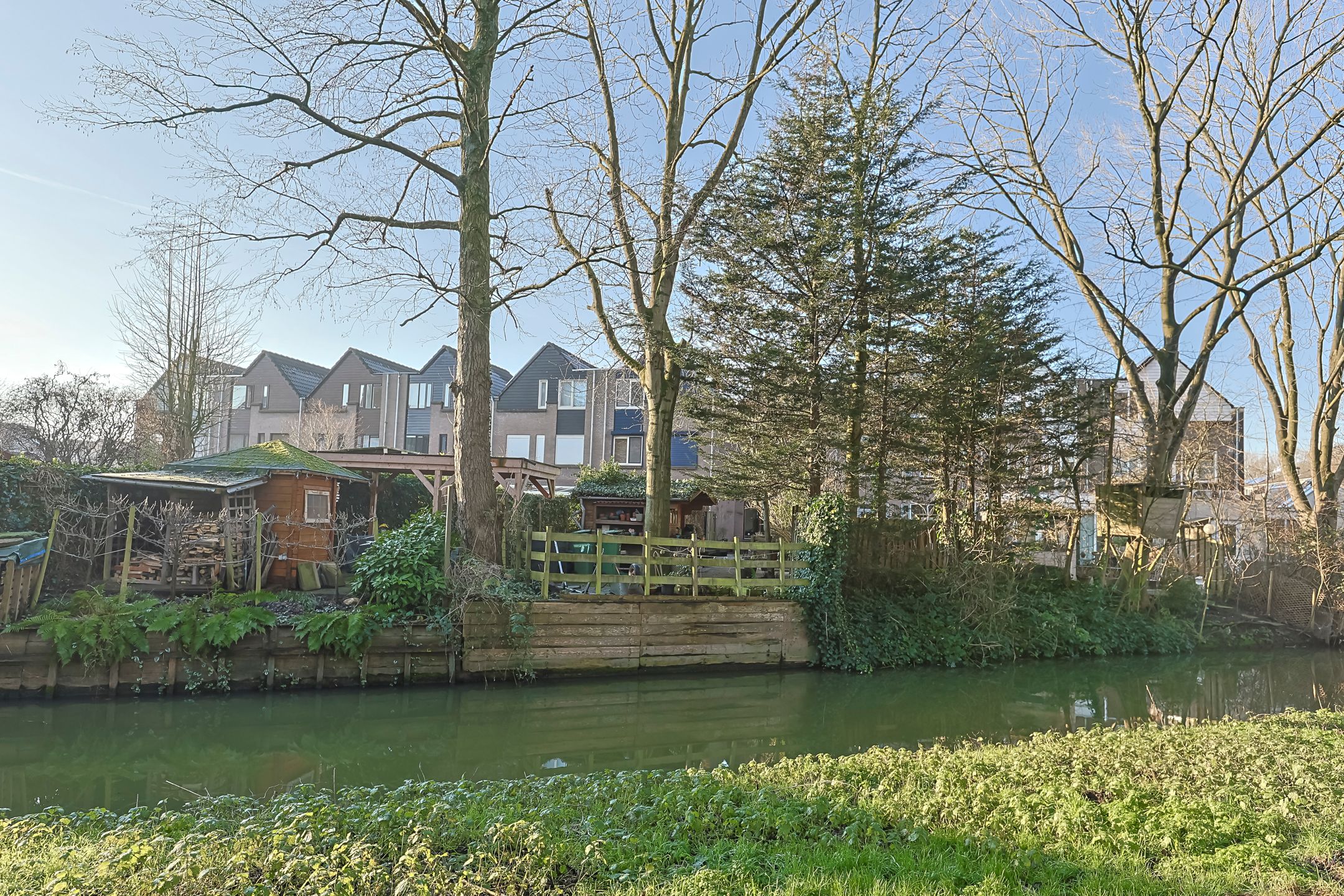 Foto 51 van Koraalzwam 81