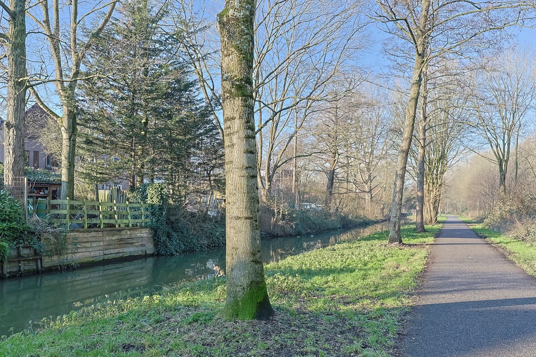 Foto 52 van Koraalzwam 81