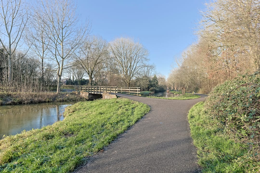 Foto 53 van Koraalzwam 81