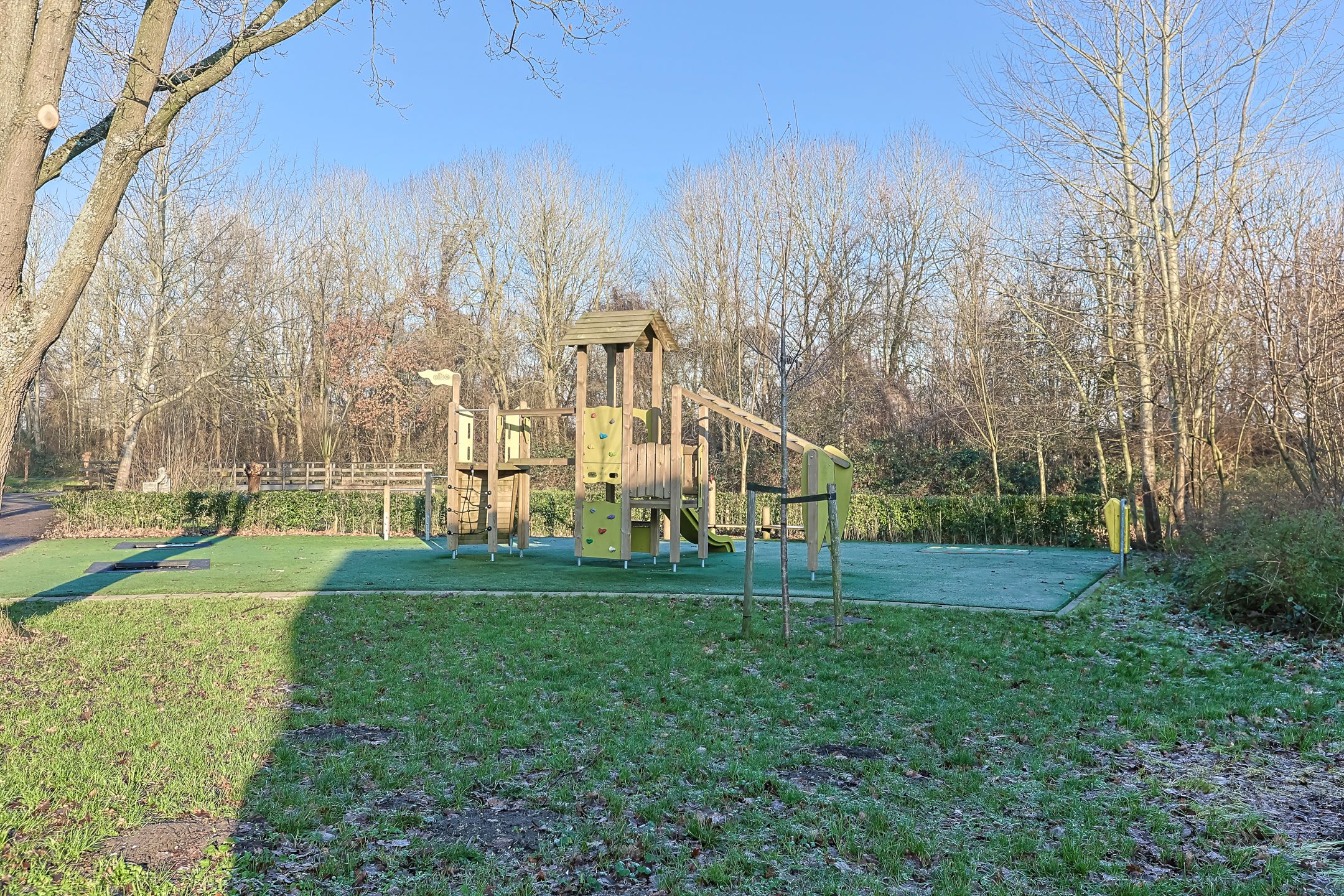 Foto 54 van Koraalzwam 81