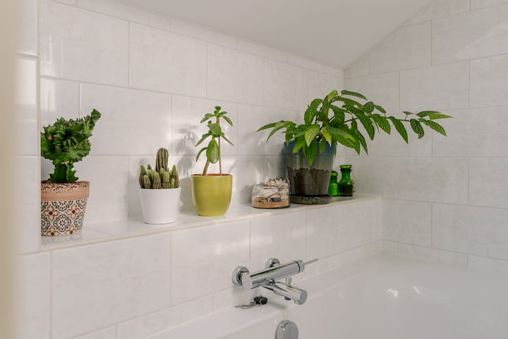 Foto 27 van Sint Vitusstraat 33