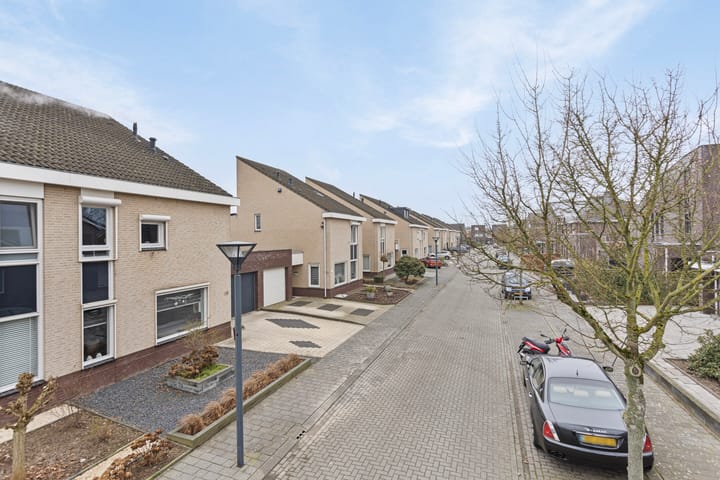 Foto 2 van Octavianus 20