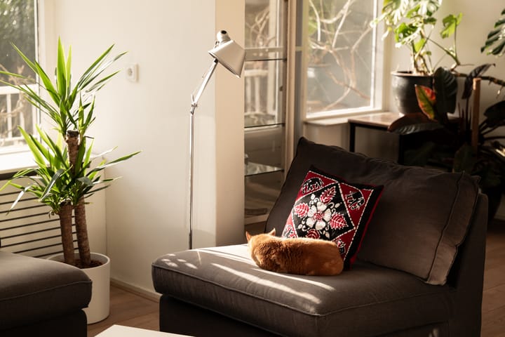 Foto 25 van Oldambtstraat 22