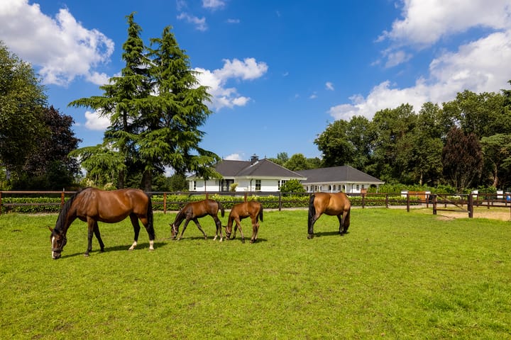 Foto 36 van Veenhuizerweg 5