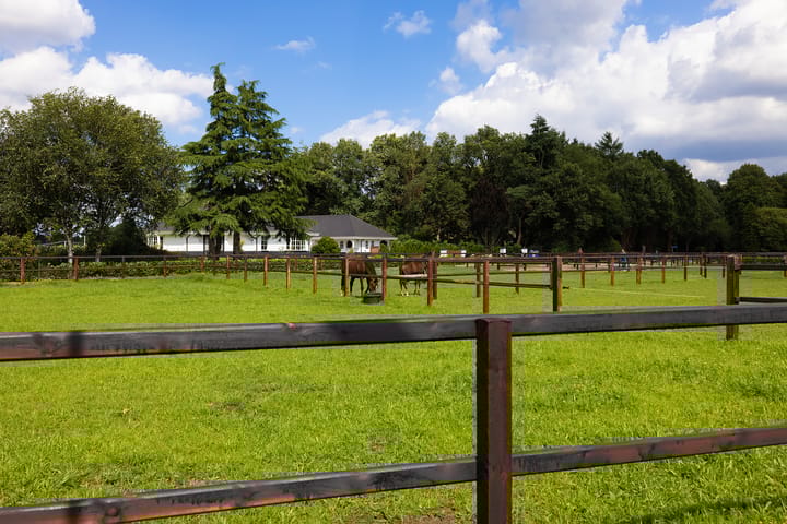 Foto 37 van Veenhuizerweg 5