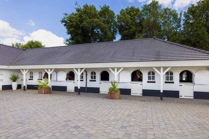 Foto 38 van Veenhuizerweg 5