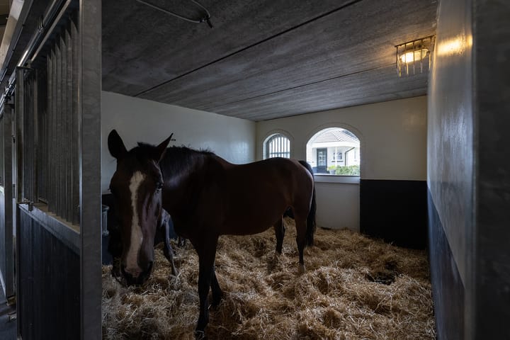 Foto 40 van Veenhuizerweg 5