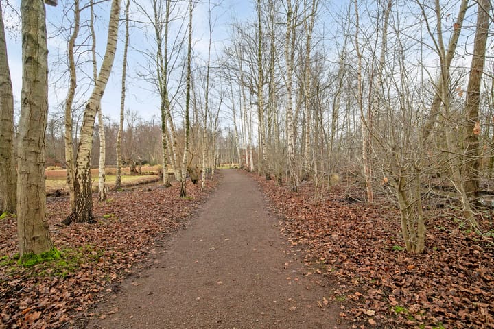 Foto 36 van Amsterdamseweg 294