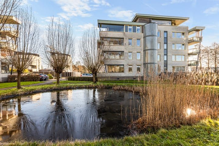 Foto 1 van Weegbreepad 20