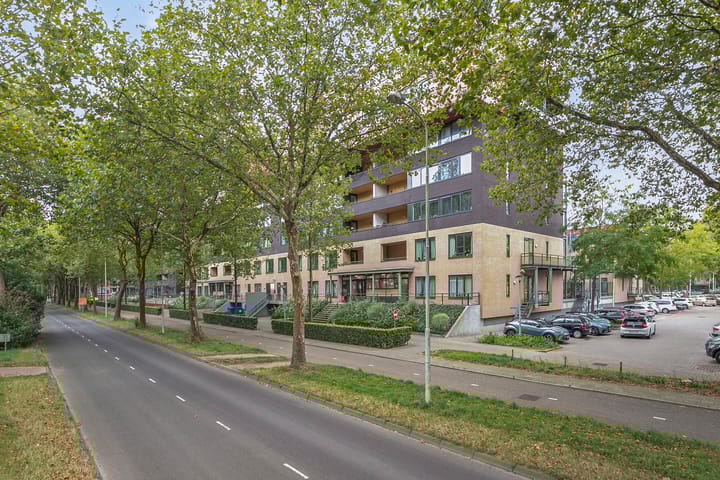 Foto 18 van Wadestein 98