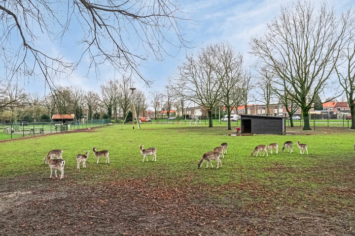 Foto 26 van Wadestein 98