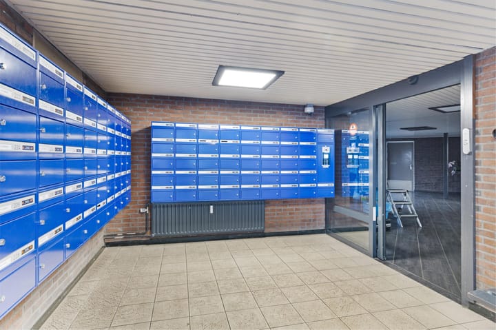 Foto 3 van Zuiderkruis 230