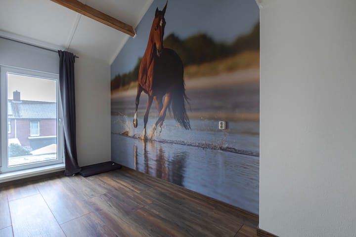 Foto 20 van Bokstraat 48