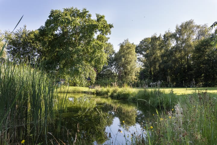 Foto 60 van Vasserweg 15