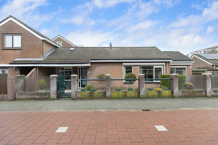 Foto 1 van Fluitekruid 26