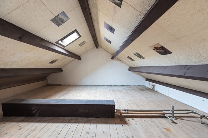 Foto 16 van Fluitekruid 26