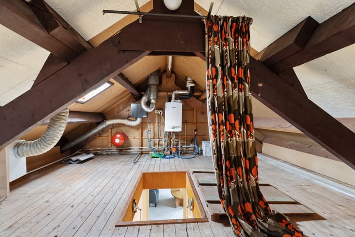 Foto 17 van Fluitekruid 26