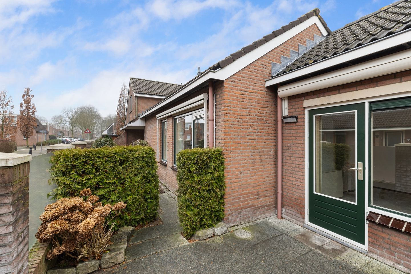 Foto 19 van Fluitekruid 26