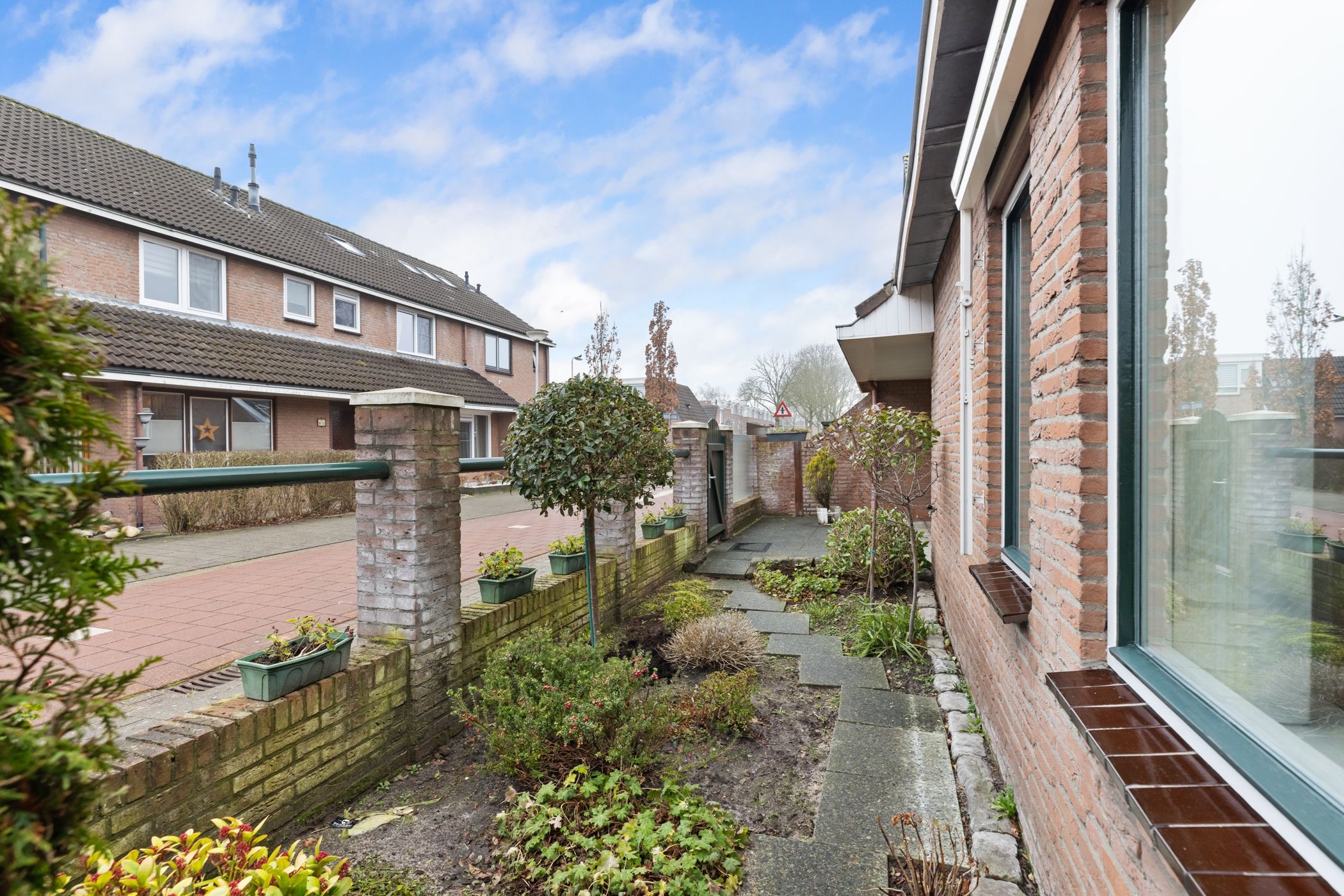 Foto 21 van Fluitekruid 26