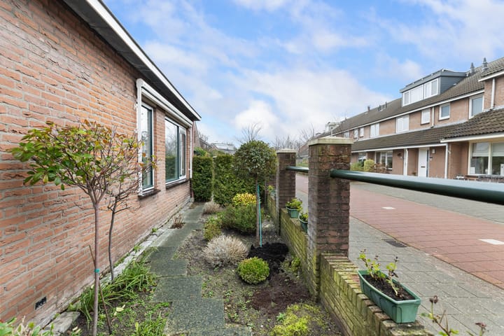 Foto 22 van Fluitekruid 26