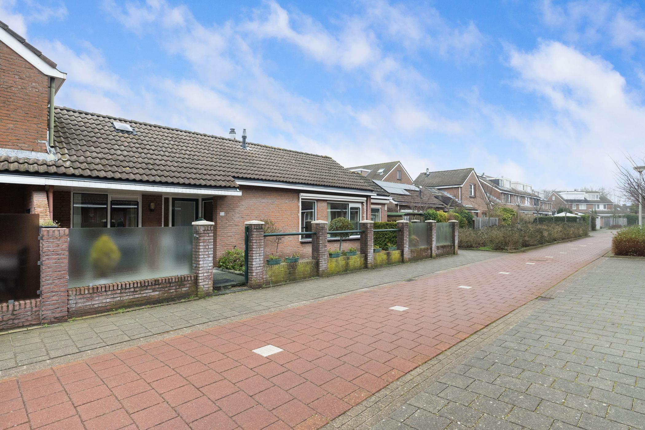 Foto 24 van Fluitekruid 26