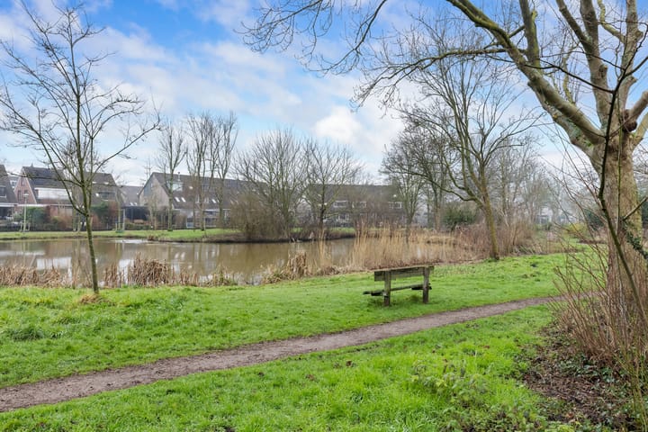 Foto 26 van Fluitekruid 26