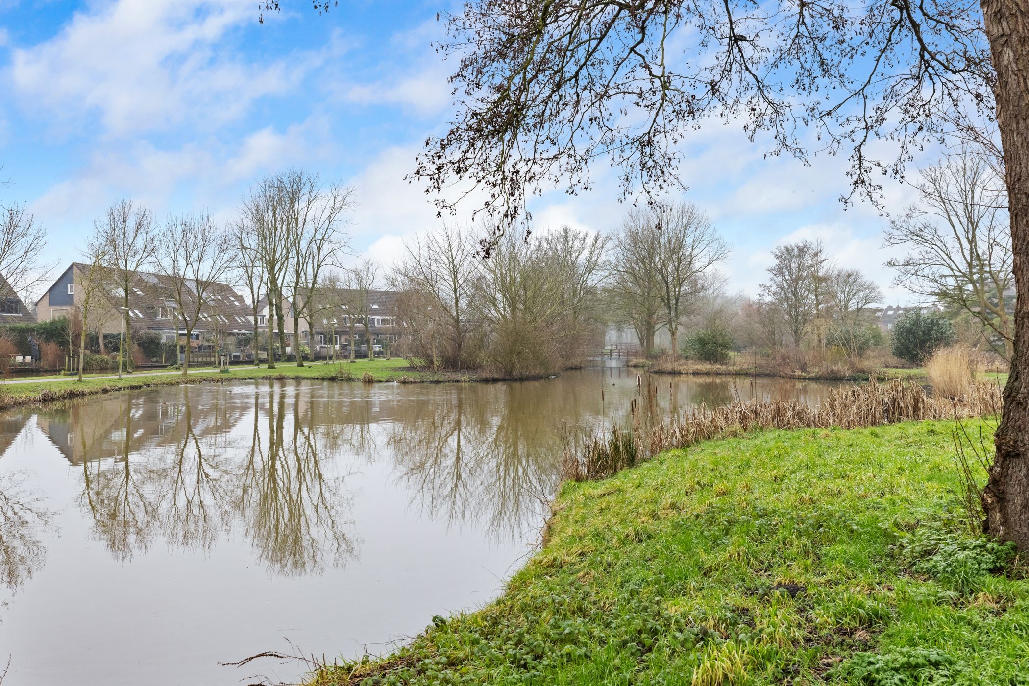 Foto 27 van Fluitekruid 26