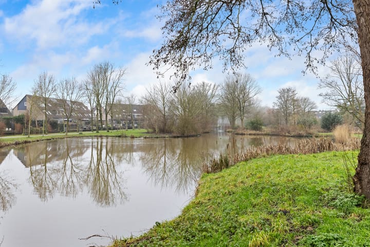 Foto 27 van Fluitekruid 26