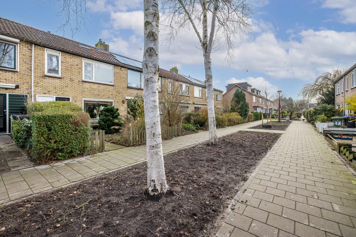 Foto 2 van Ir. F.W. Conradstraat 26